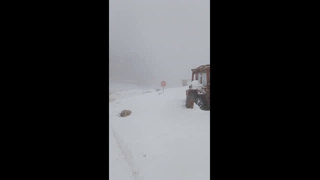 "Моята новина": Красотата на Петрохан