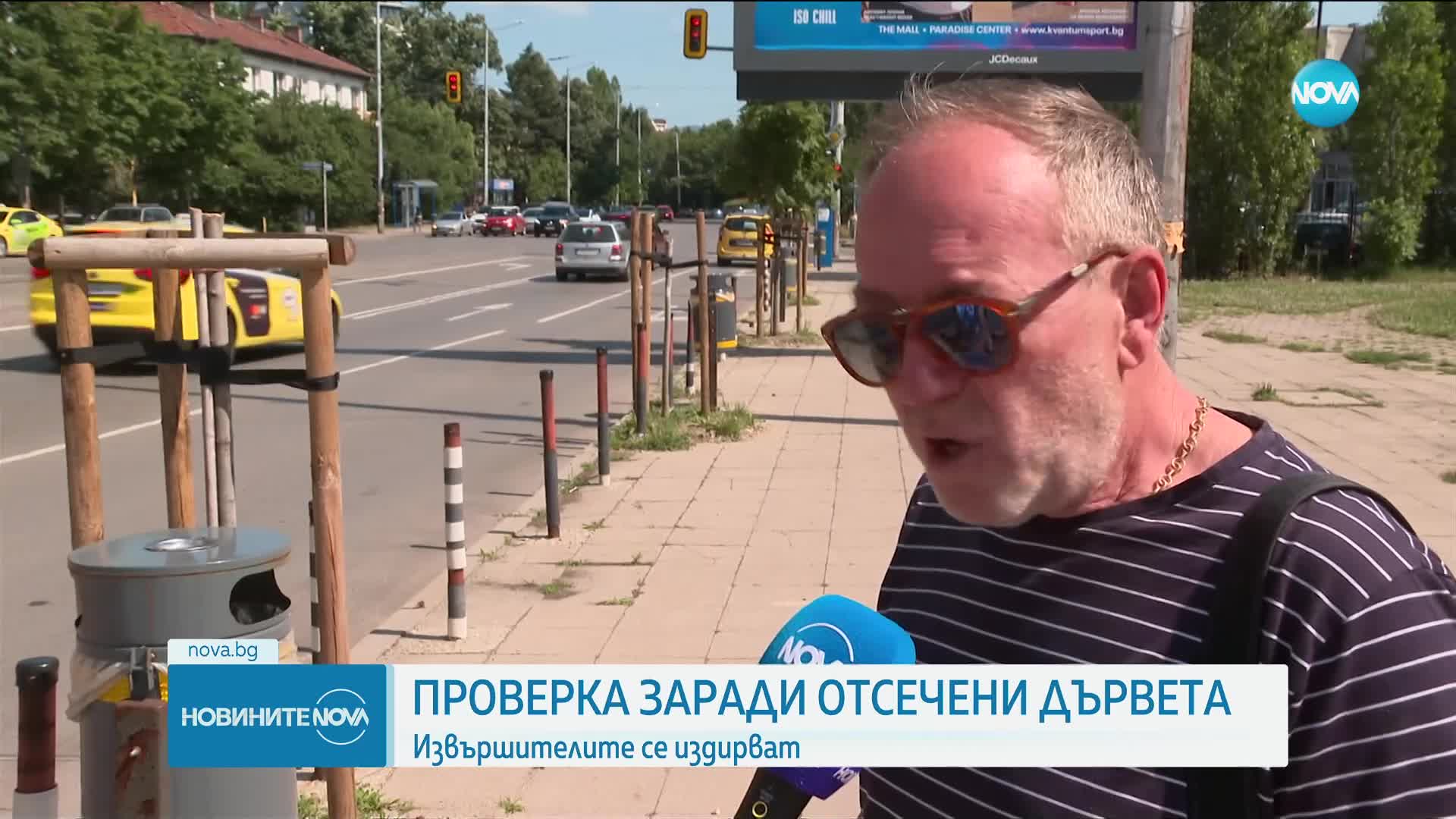 Напрежение около изсечени млади дръвчета в София