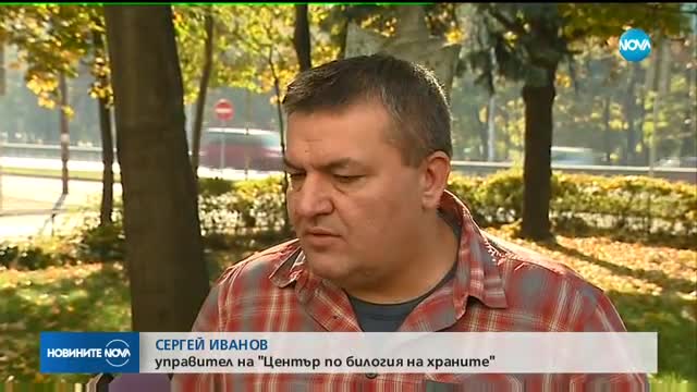 ПРОВЕРКА: Пет марки масло на пазара - менте