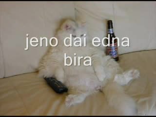 Смешно Клипче