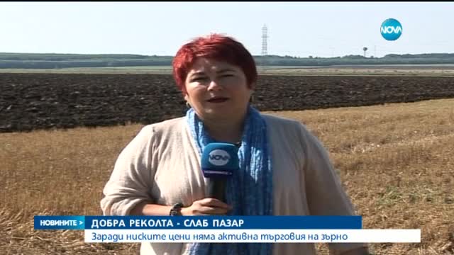 Слаб пазар за зърното, въпреки добрата реколта