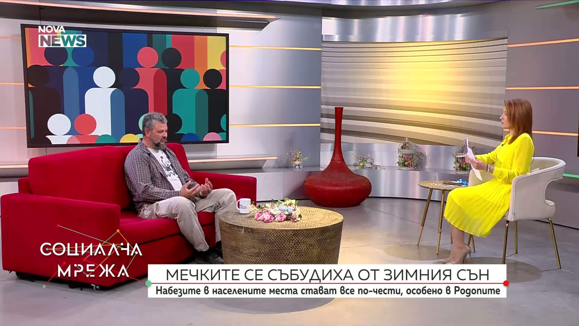 Мечките се събуждат от зимен сън, започнаха набезите в населени места
