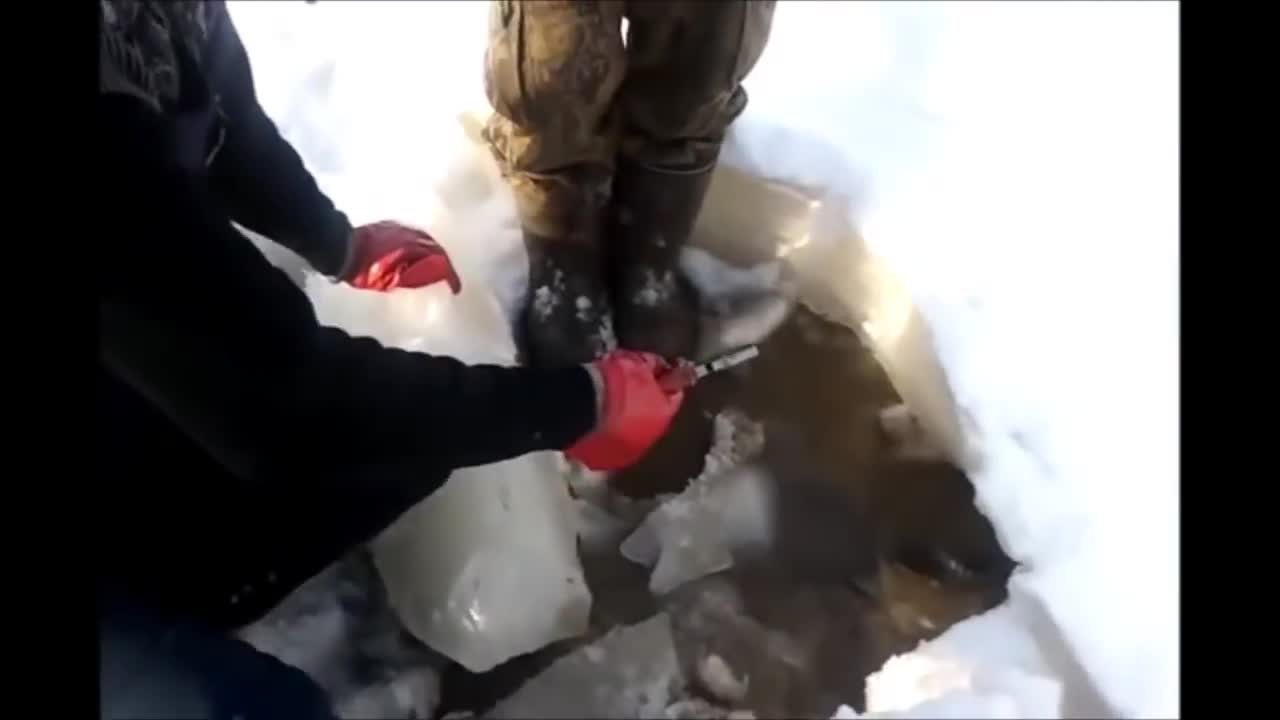И такъв риболов не сте виждали още! Как мислите се лови риба с клещи?
