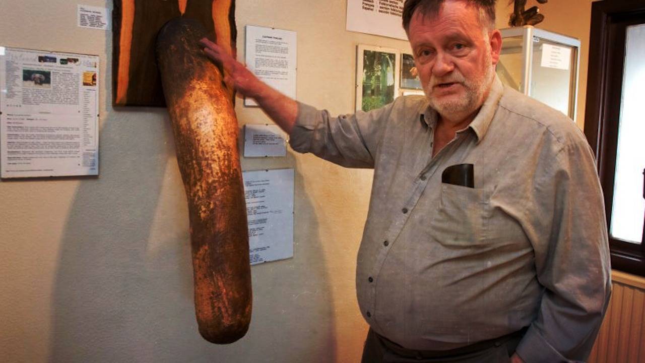 В луд свят живеем. Има музей на мъжкото достойнство!