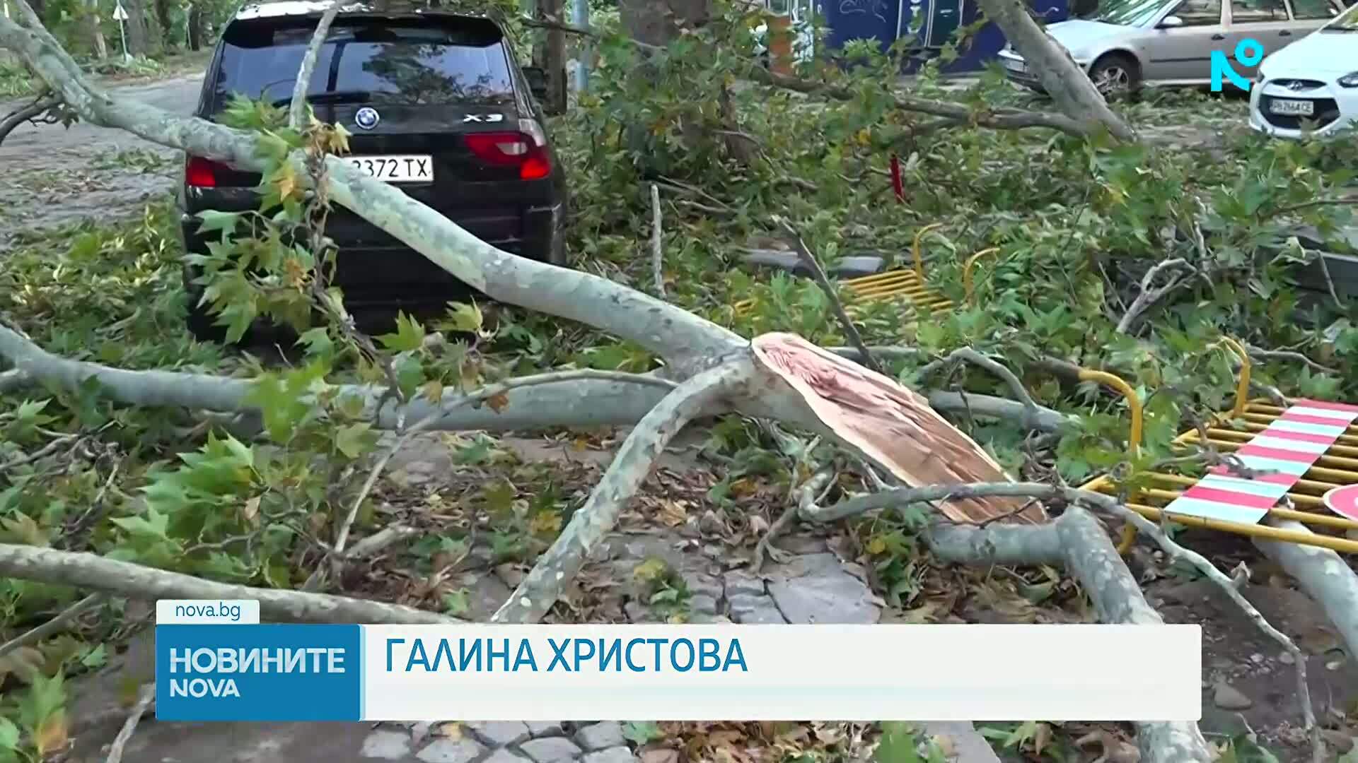 След бурята в Пловдив: Служби и граждани обединиха сили в разчистването на града