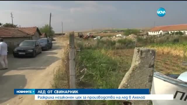 Произвеждат лед в свинарник, пием го по морето