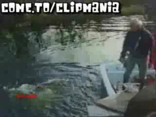 Компилация Смешки