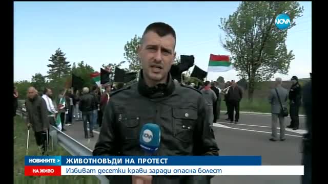 Напрежение с полицията на протеста на животновъдите