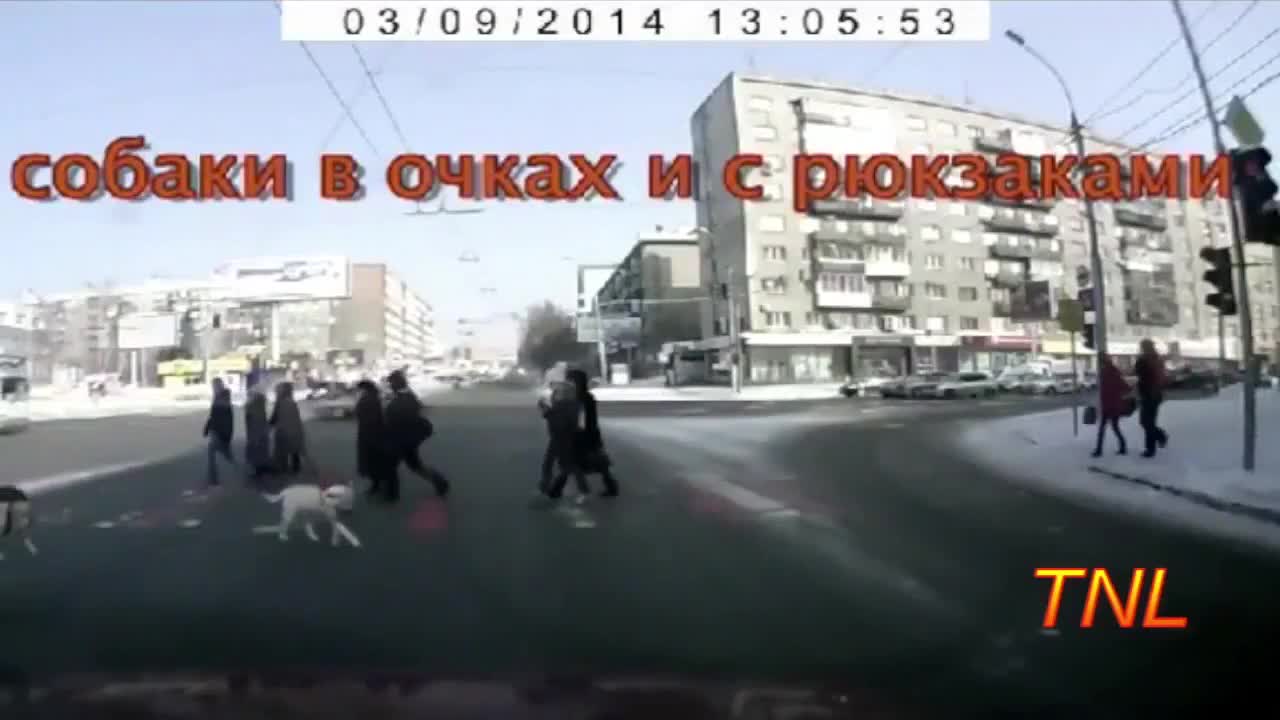 Смях ... Ние обичаме Русия - Fail Compilation .7.2014