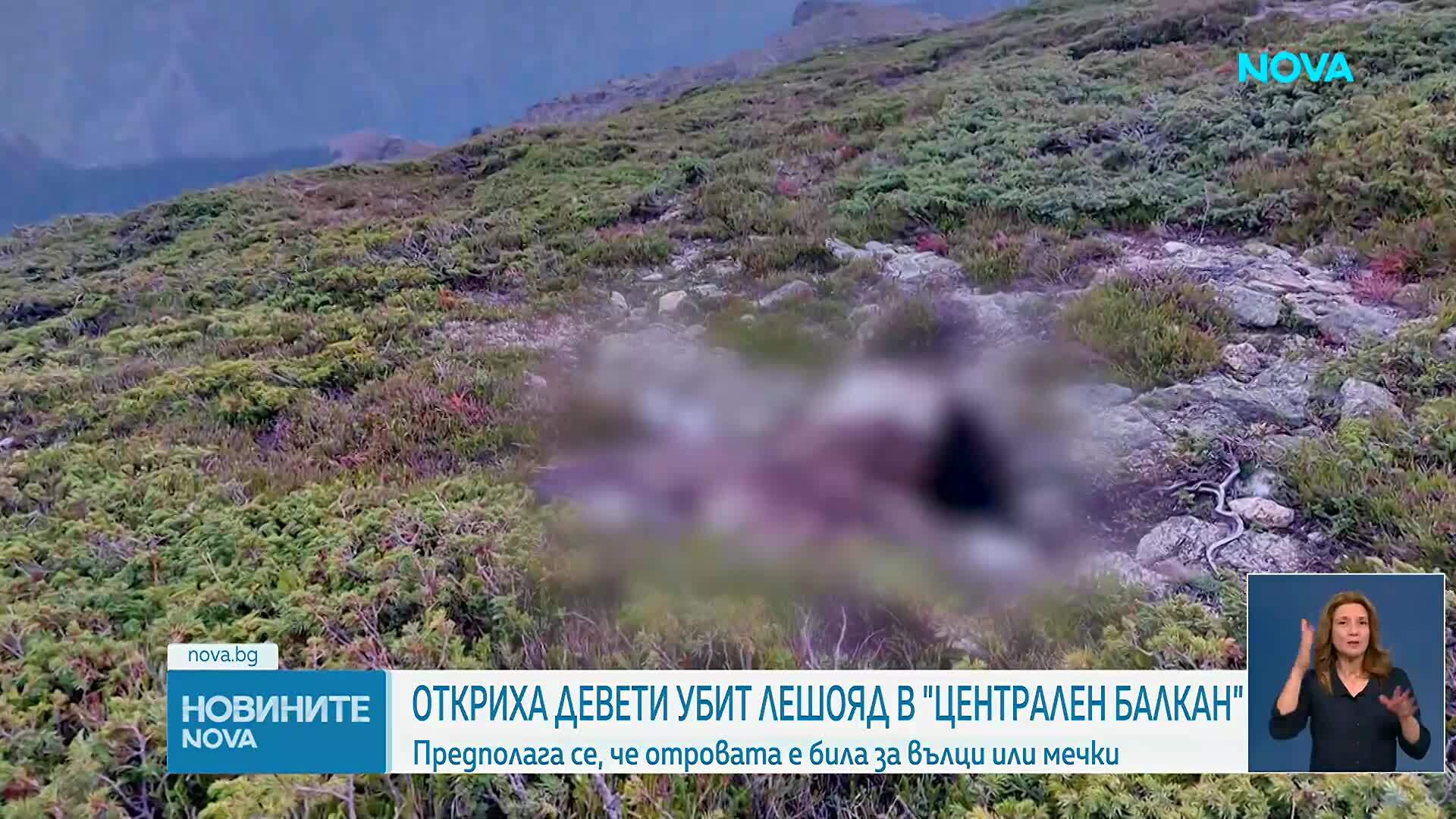 Откриха още четири мъртви птици в Национален парк „Централен Балкан“
