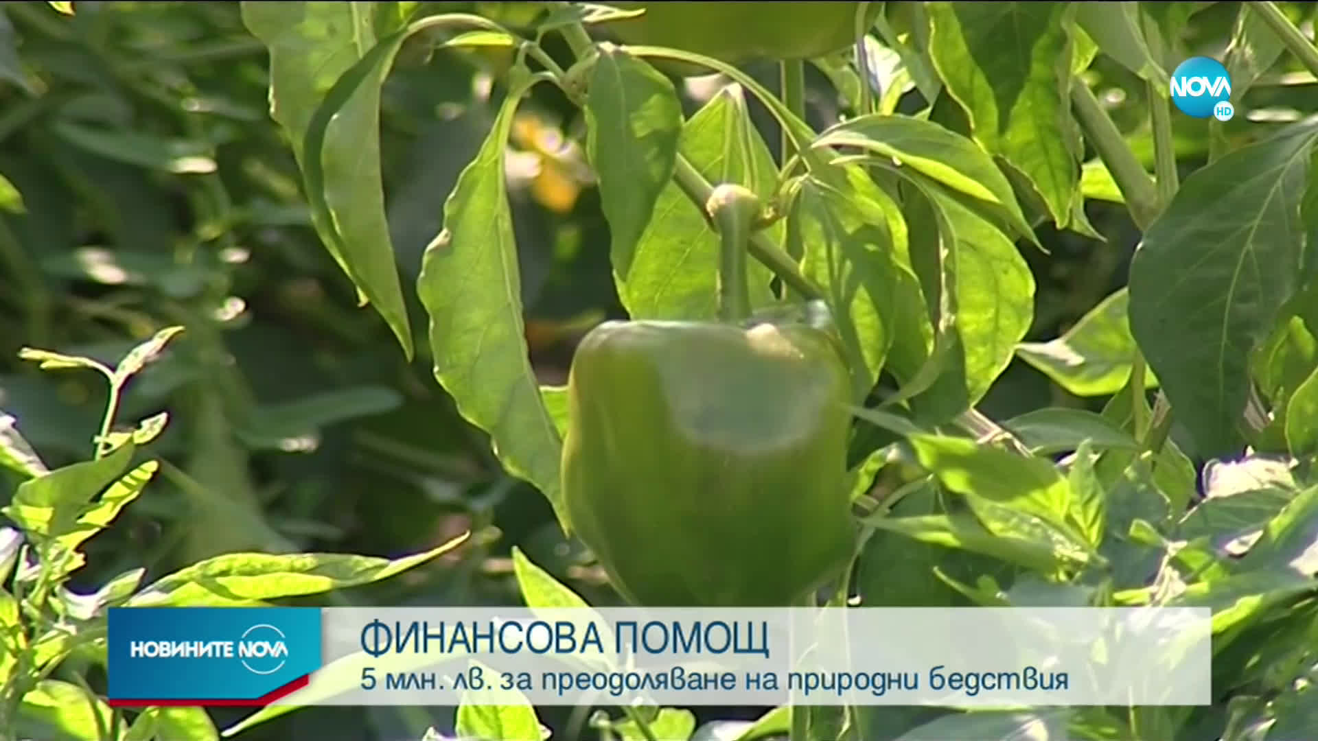 Отпуснаха 5 млн. лв. за преодоляване на последиците от бедствия в седем общини