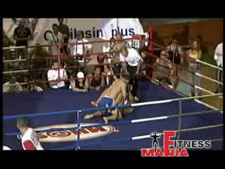 Свободни Боеве - Shooto.bg