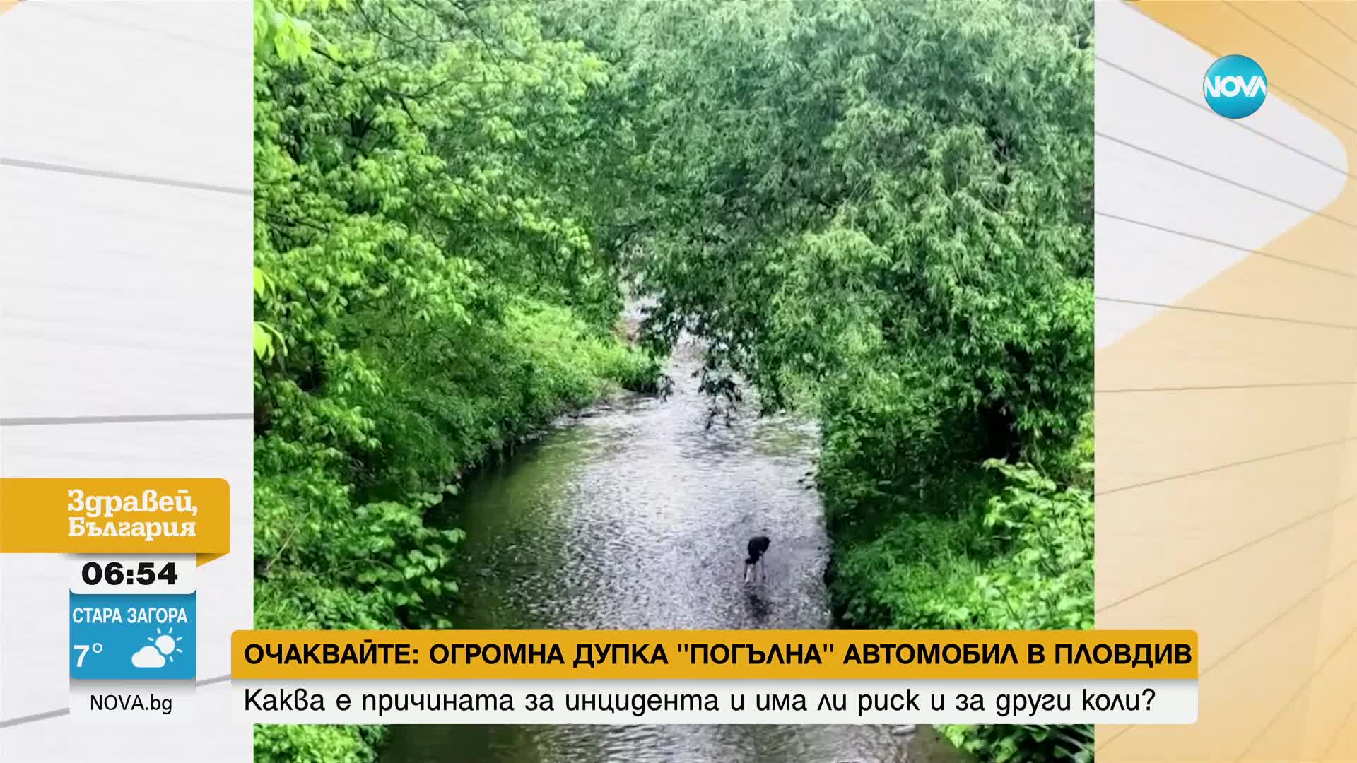 Черен щъркел се появи в столичния квартал „Обеля”
