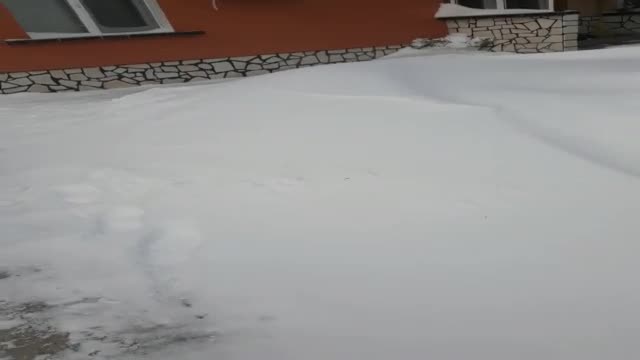 Сняг в Бутан