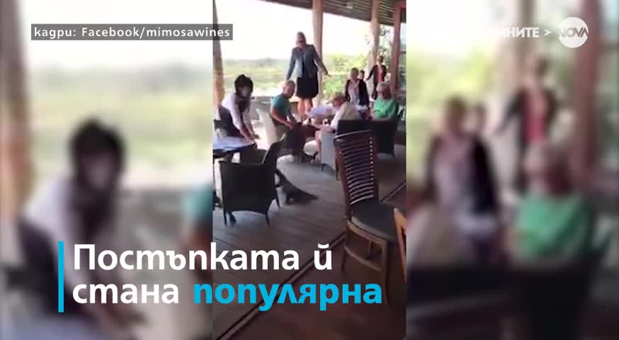 Огромен варан нахлу в заведение