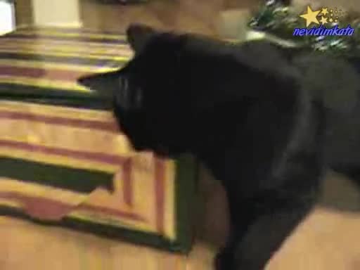 Котета На Коледа