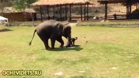 Ето какво е да имаш най - силният и сигурен бодигард на света !