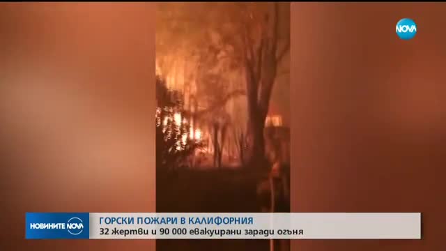 32 жертви и 90 000 евакуирани заради пожарите в Калифорния
