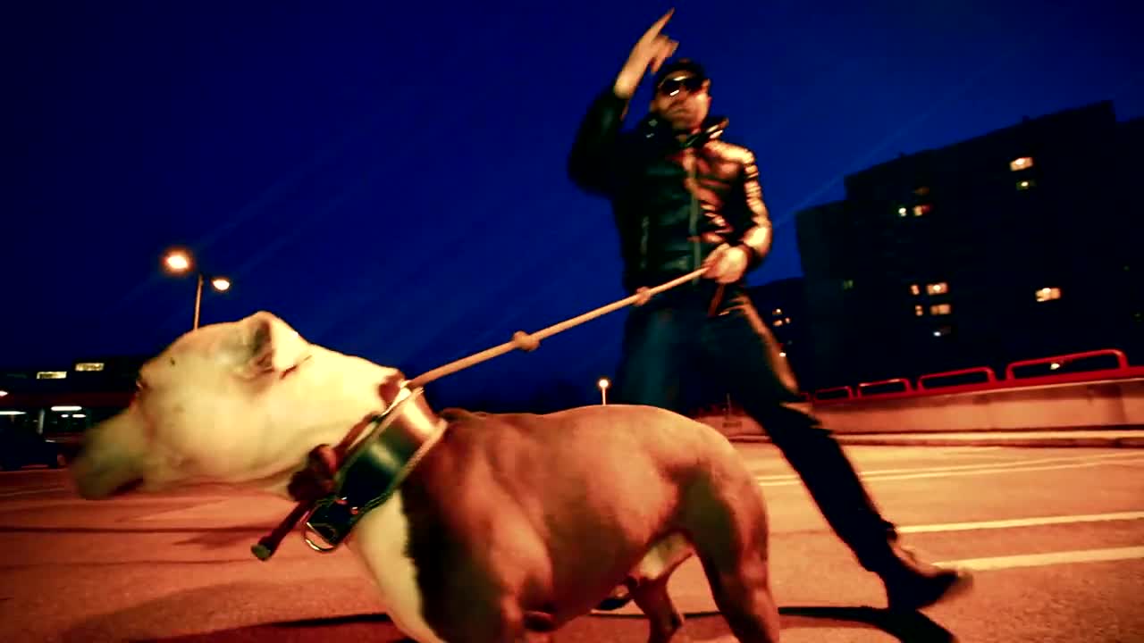 INTRO 1во Питбул съзтезание /BULLET (OFFICIAL VIDEO)