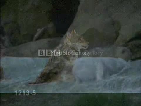 Една много хубава песен с трогателно видео!