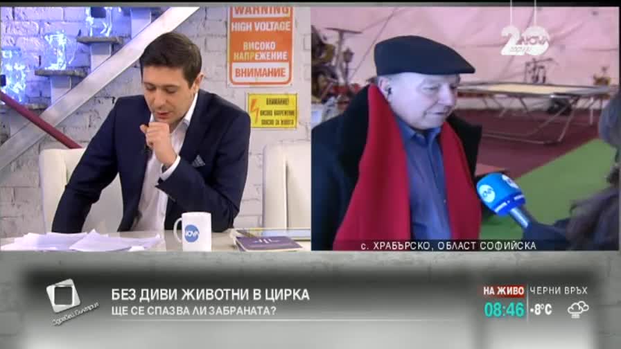 Българските циркове остават без лъвове и тигри