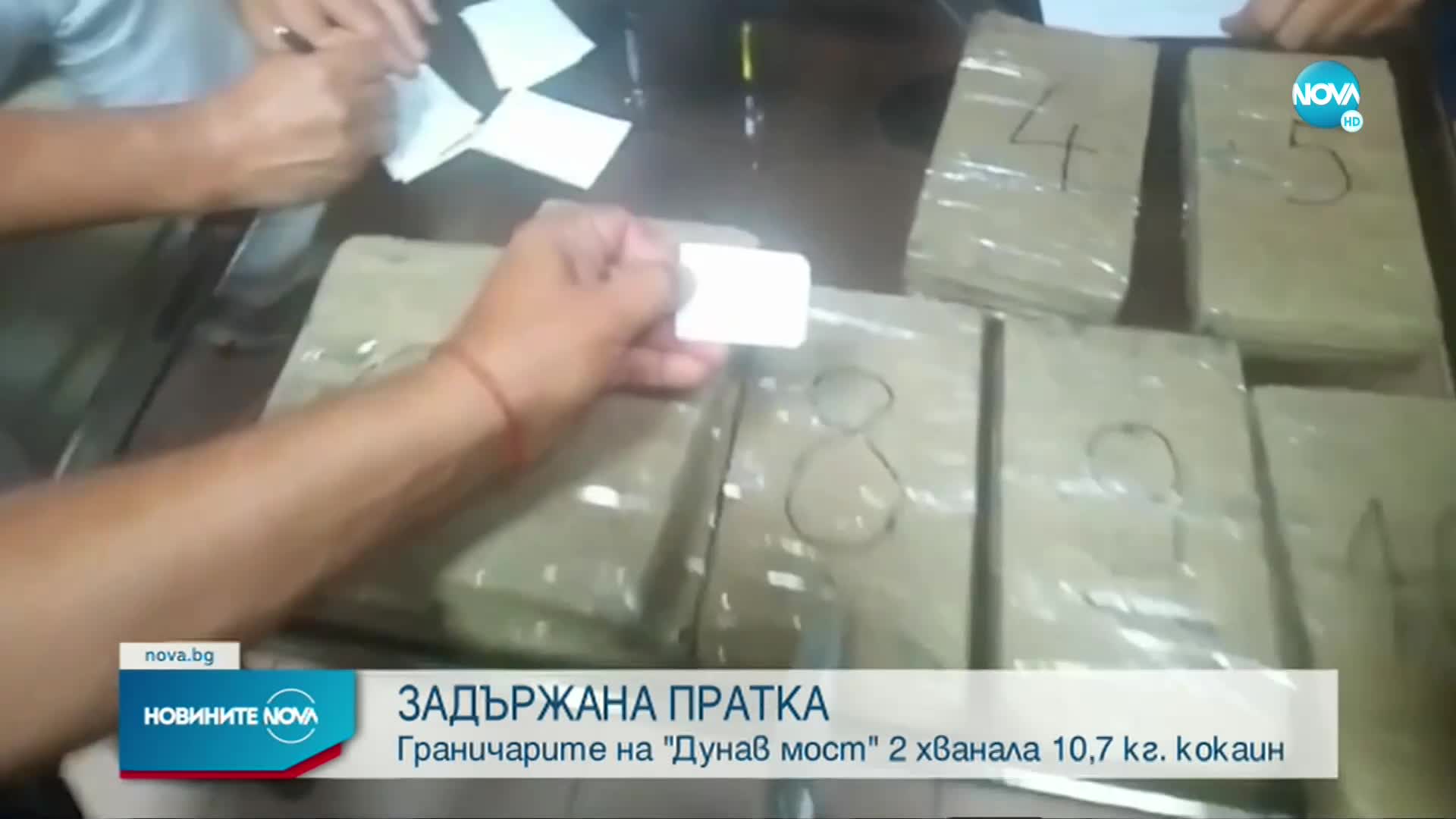 Заловиха 10 кг кокаин в камион с кучешка храна