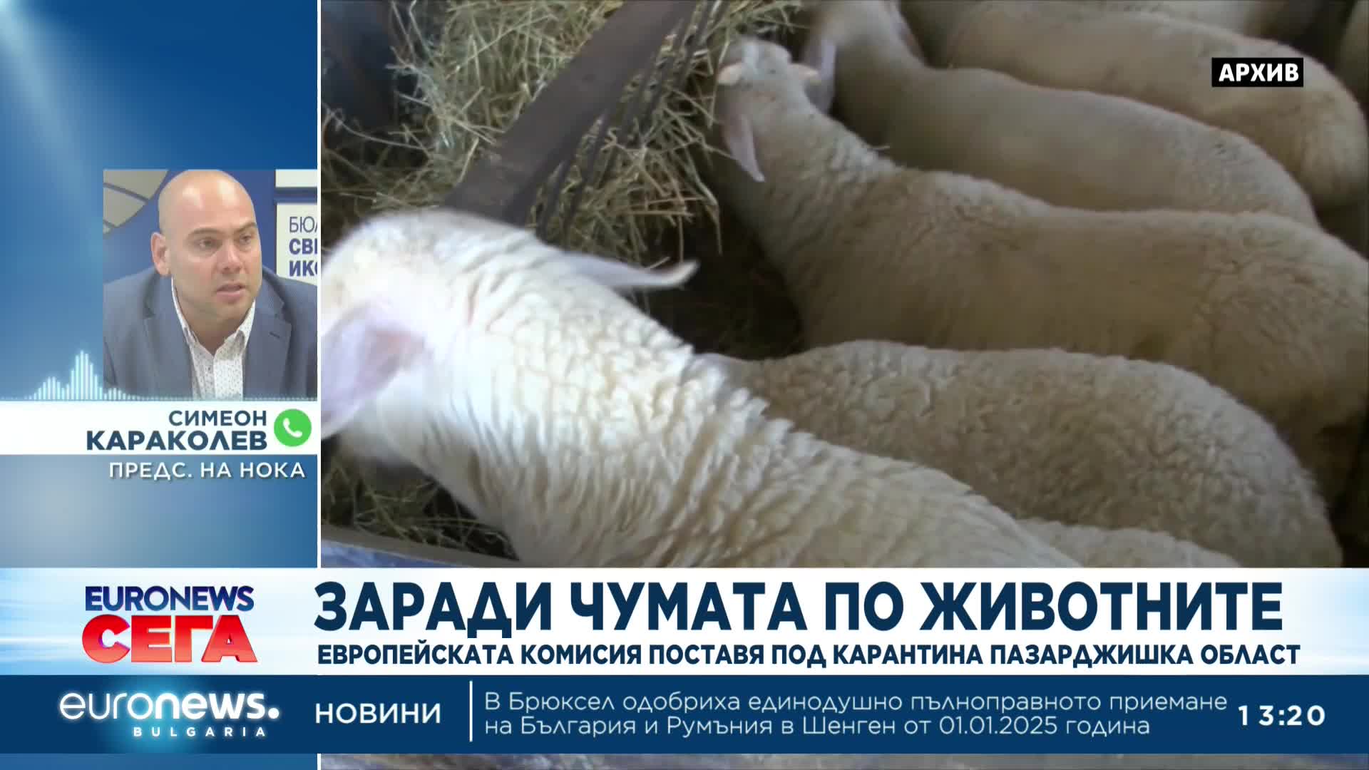Земеделци протестират в подкрепа на българското животновъдство