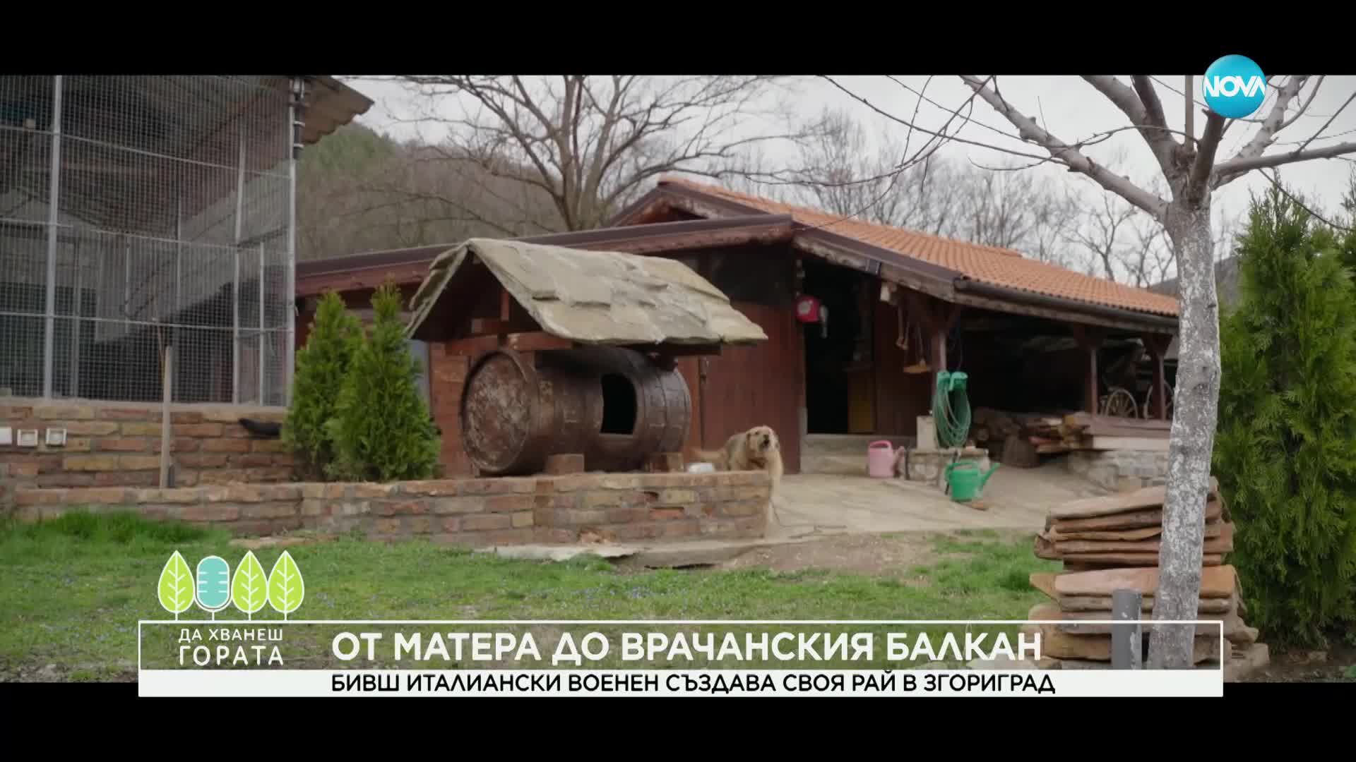 Да хванеш гората (09.04.2023)
