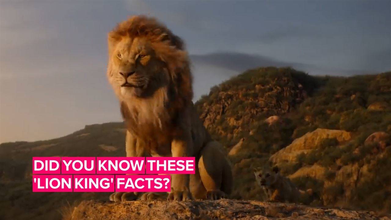 Всичко, което трябва да знаем преди да гледаме The Lion King