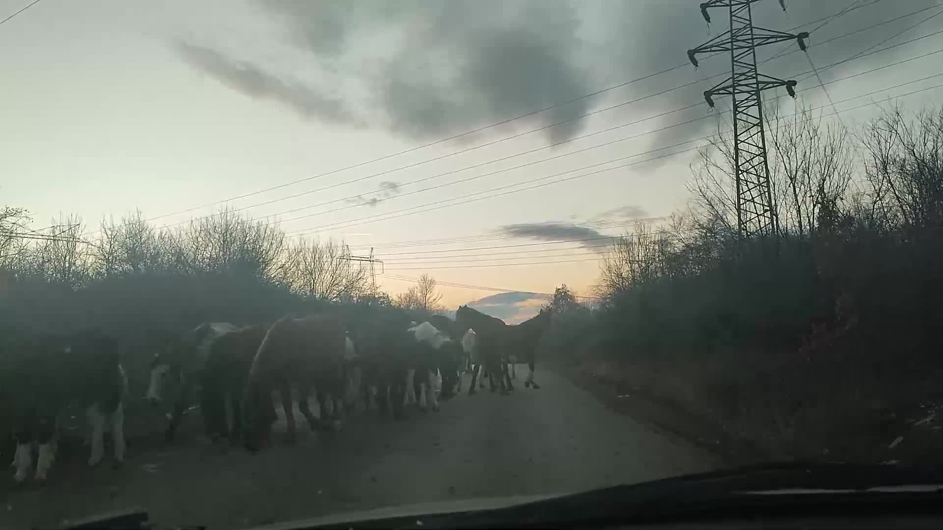 Пълен Абсурд
