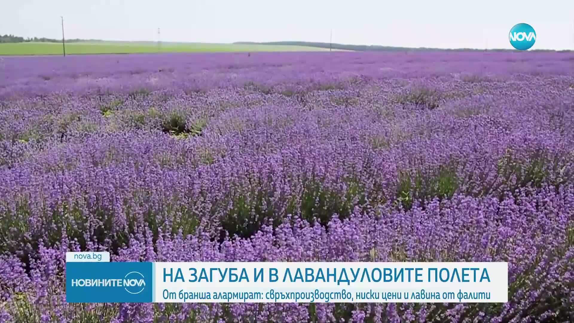 Новините на NOVA (07.06.2025 - централна емисия)