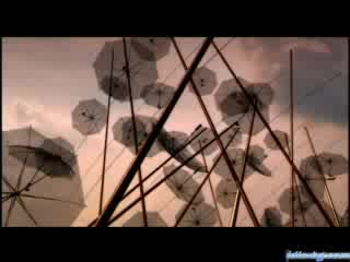 Камелия & Sakis Coucos - Искаш Да Се Върна