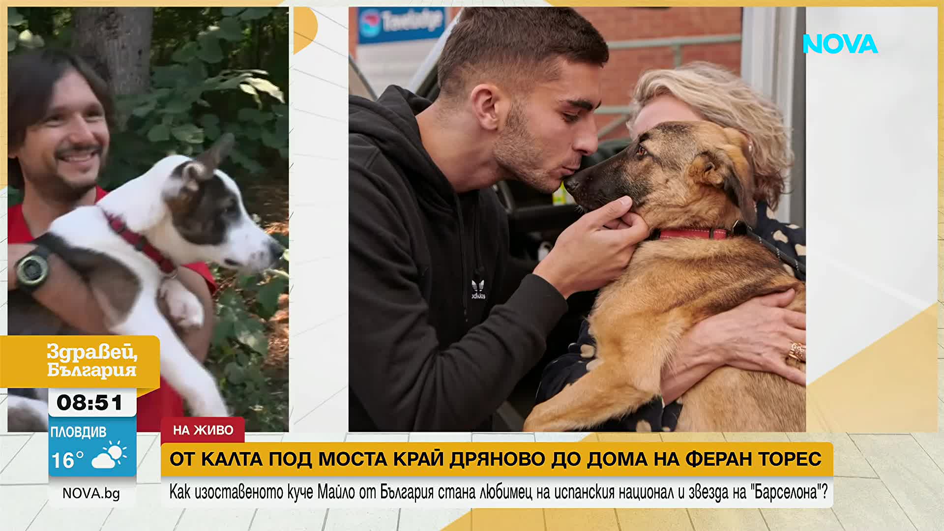 От приют в дряновско село до дома на Феран Торес: Историята на кучето Майло