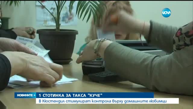 Необичайна такса „куче“ в Кюстендил