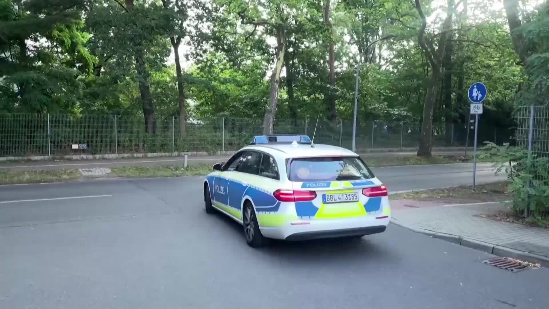 Лъвица се разхожда по улиците на Берлин, полицията блокира три квартала
