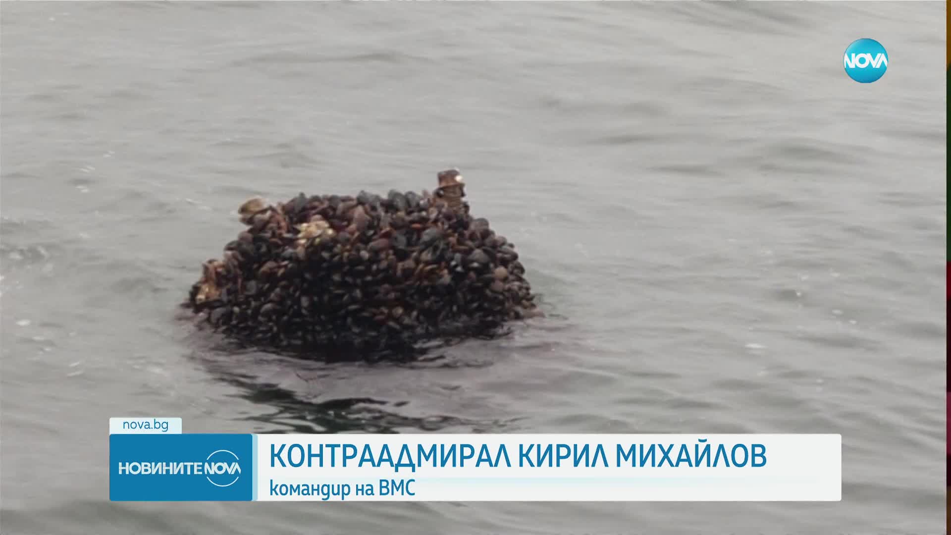 Военноморските сили обезвредиха плаваща мина в морето край Варна