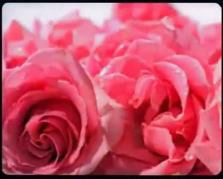 България - Величие и Красота 