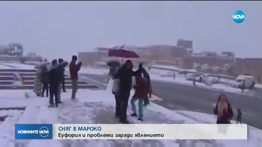 Дебел сняг покри палмите в Мароко