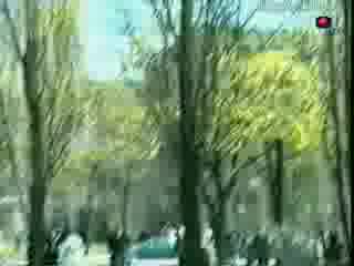 Луда Котка По Дърветата