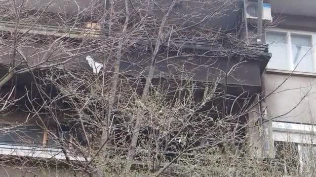 Пожар изпепели апартамент във Варна (ВИДЕО+СНИМКИ)