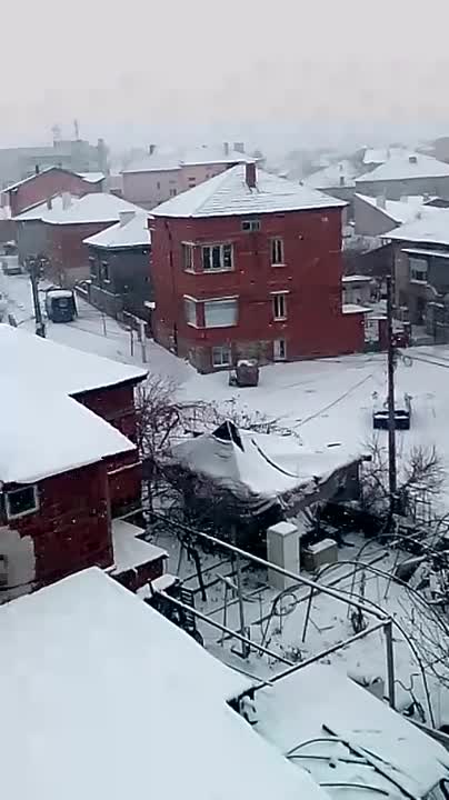 "Моята новина": Сняг