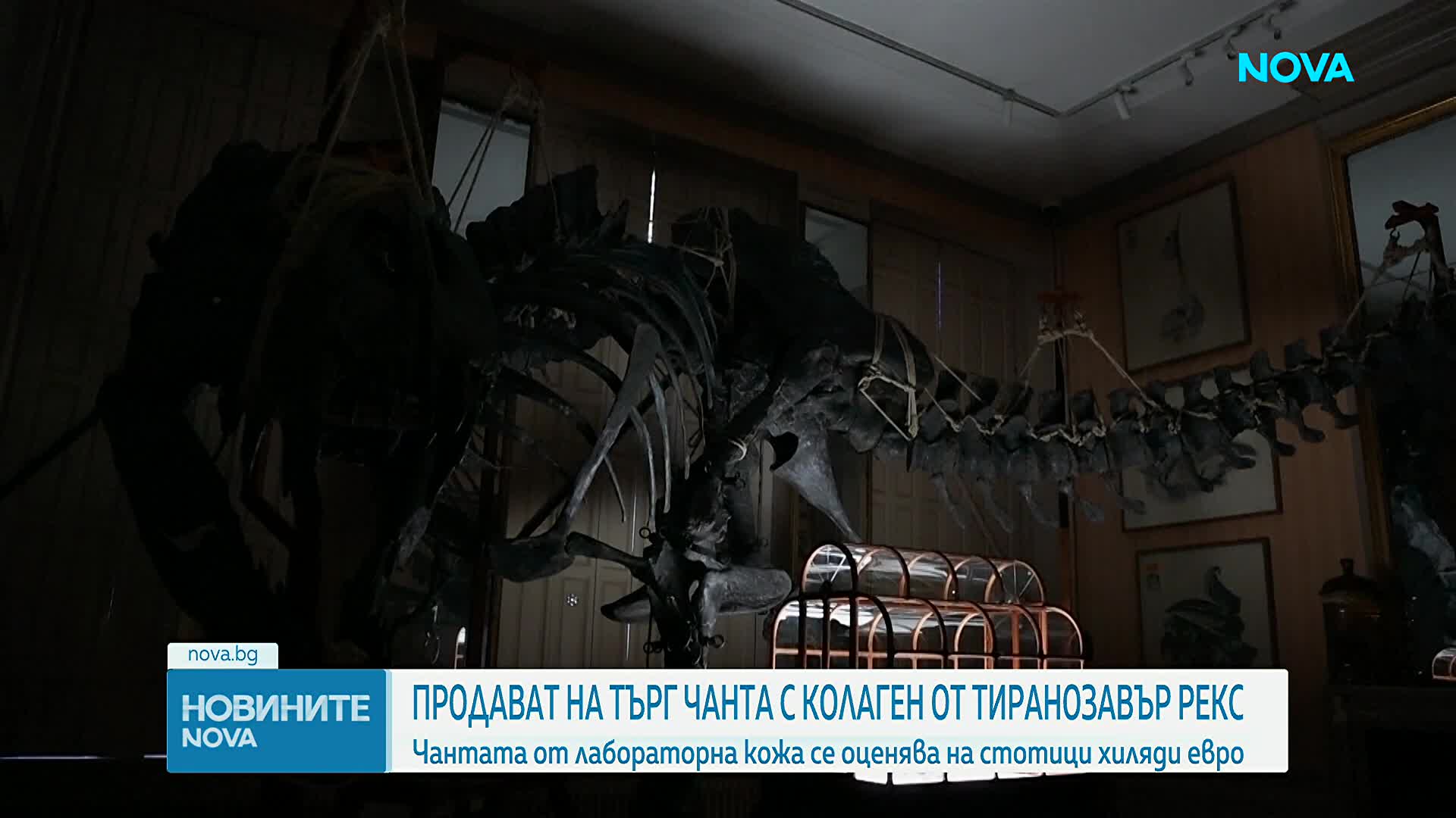 Чанта от лабораторна кожа на тиранозавър Рекс отива на търг в Париж