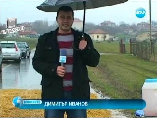 1 300 кокошки убиха заради вирус