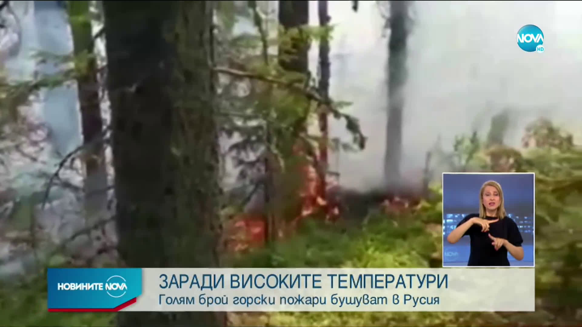Голям брой горски пожари бушуват в Русия