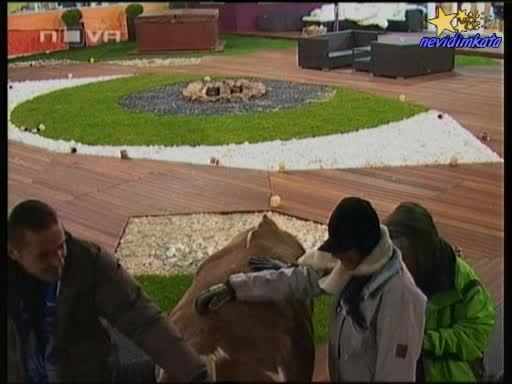 Big Brother 4-ДЕНИС-Така Се Атакува Жена"От Вратата За Краката!"19.11.2008