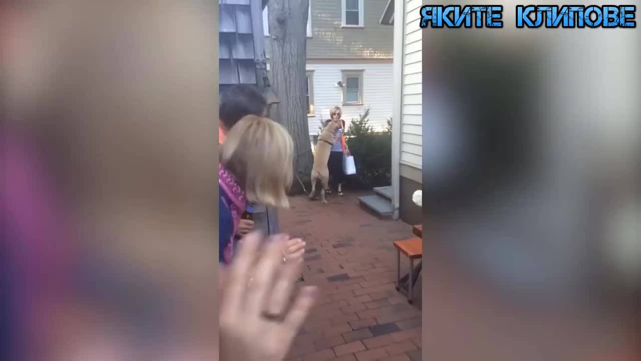 Празнични гафове и изцепки!