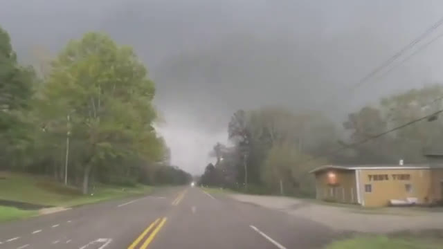 Пет жертви на торнадо в американския щат Алабама