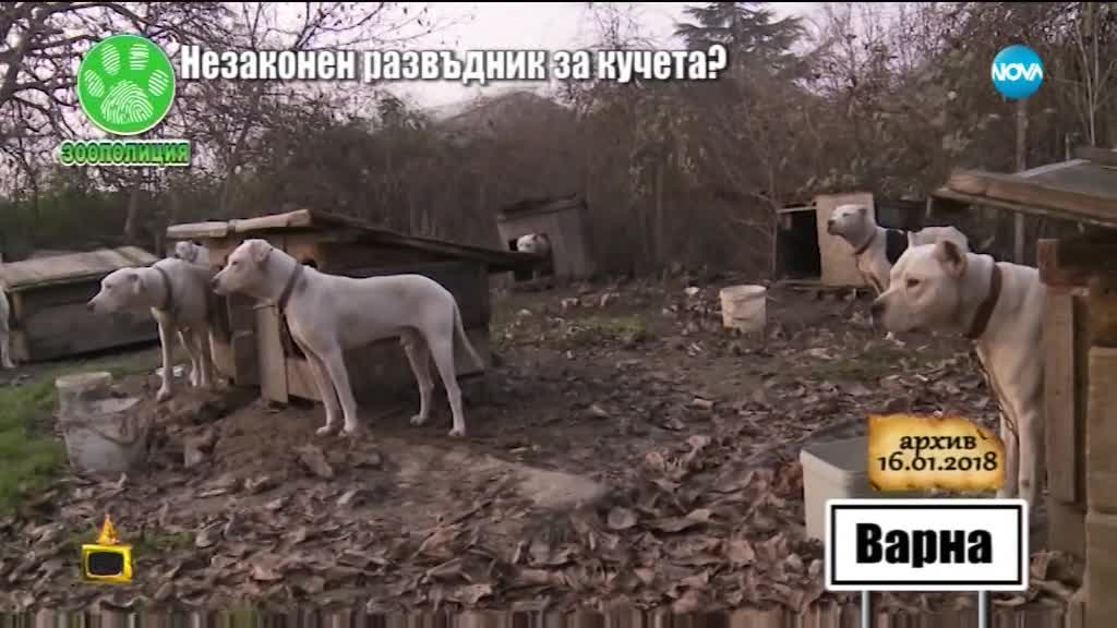 Господари на ефира (18.01.2018)
