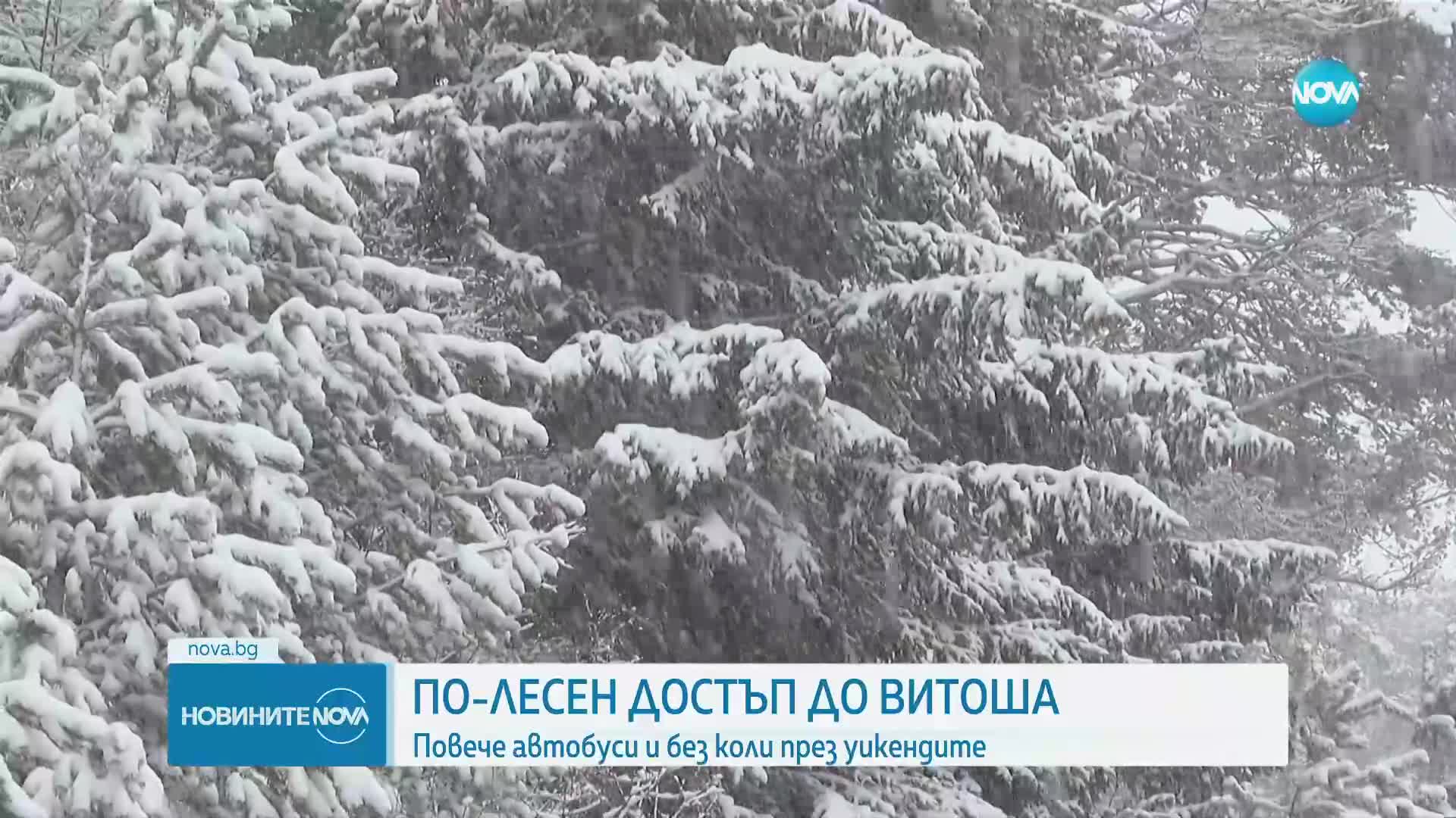 Повече автобуси и без коли през уикендите за по-лесен достъп до Витоша
