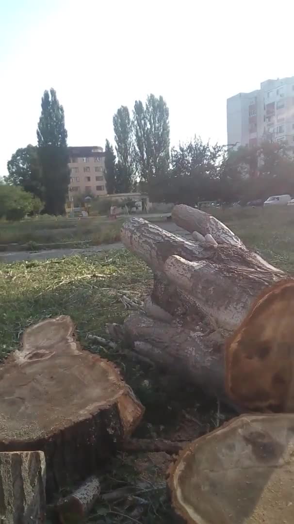 "Подкастряне" по кметски в София